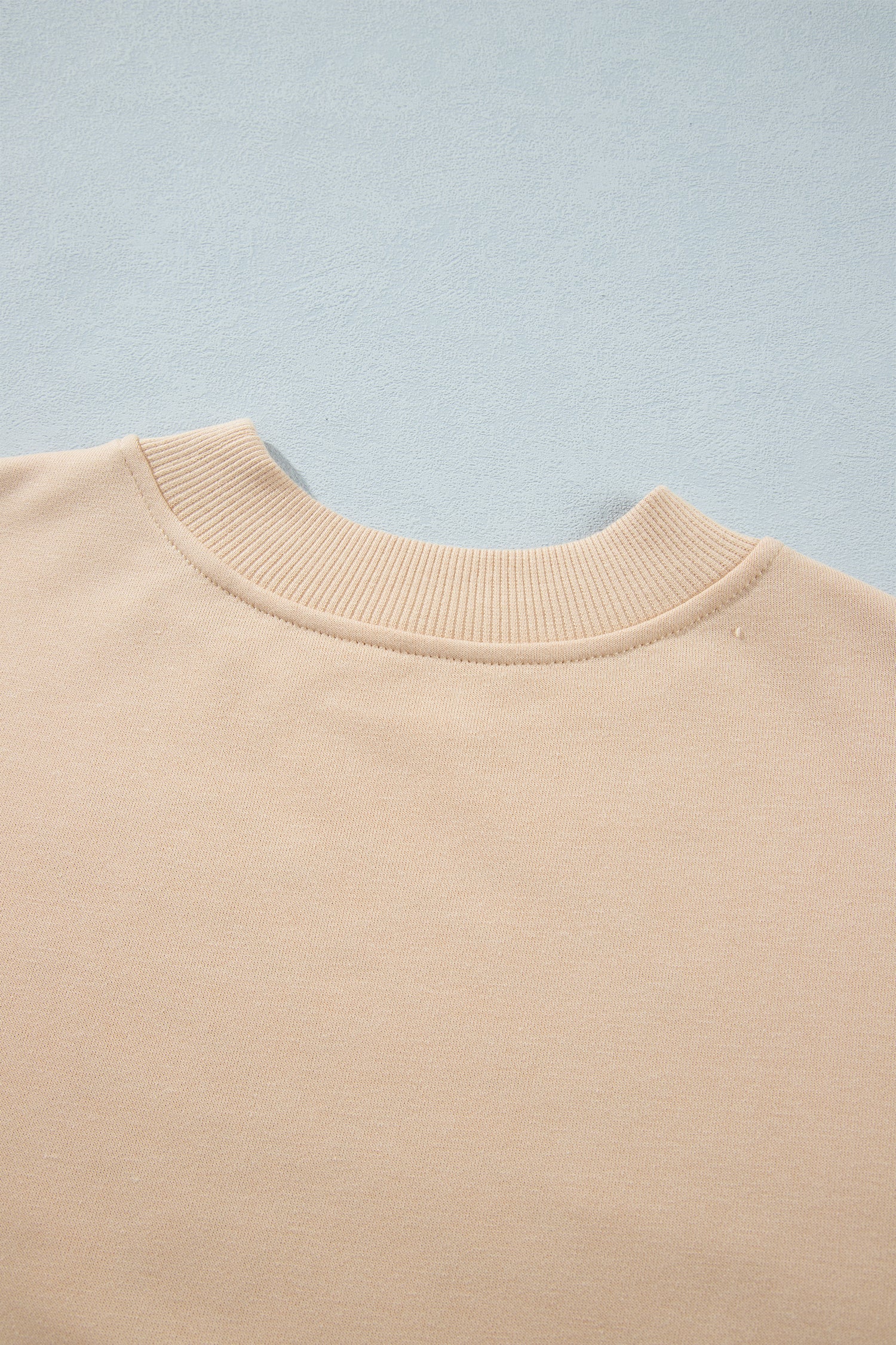 Light French Beige Western Embroidery Round Neck Pullover Long Sleeve Sweatshirt